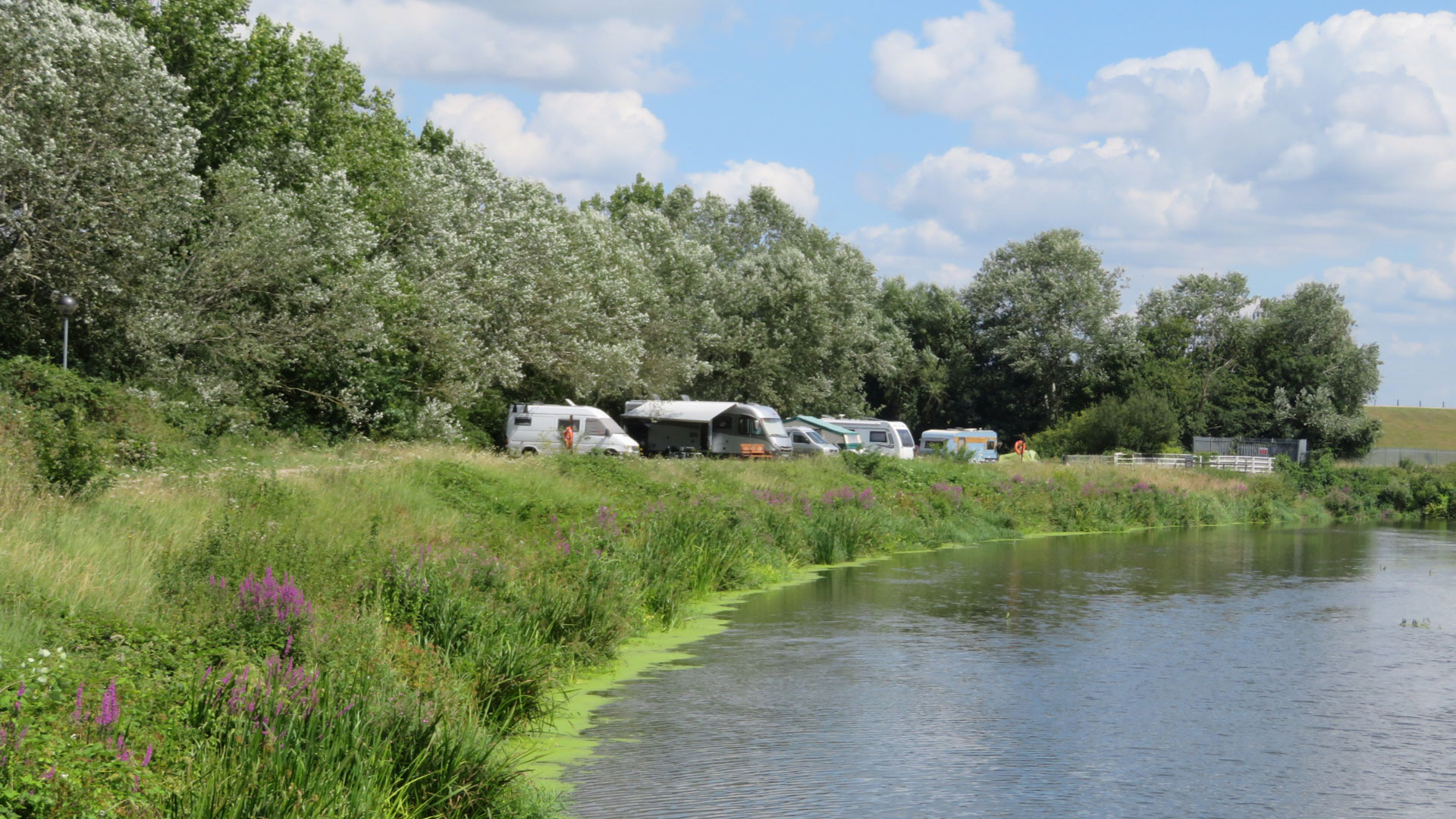 Motorhomes beside the river bank on Walton on Thames