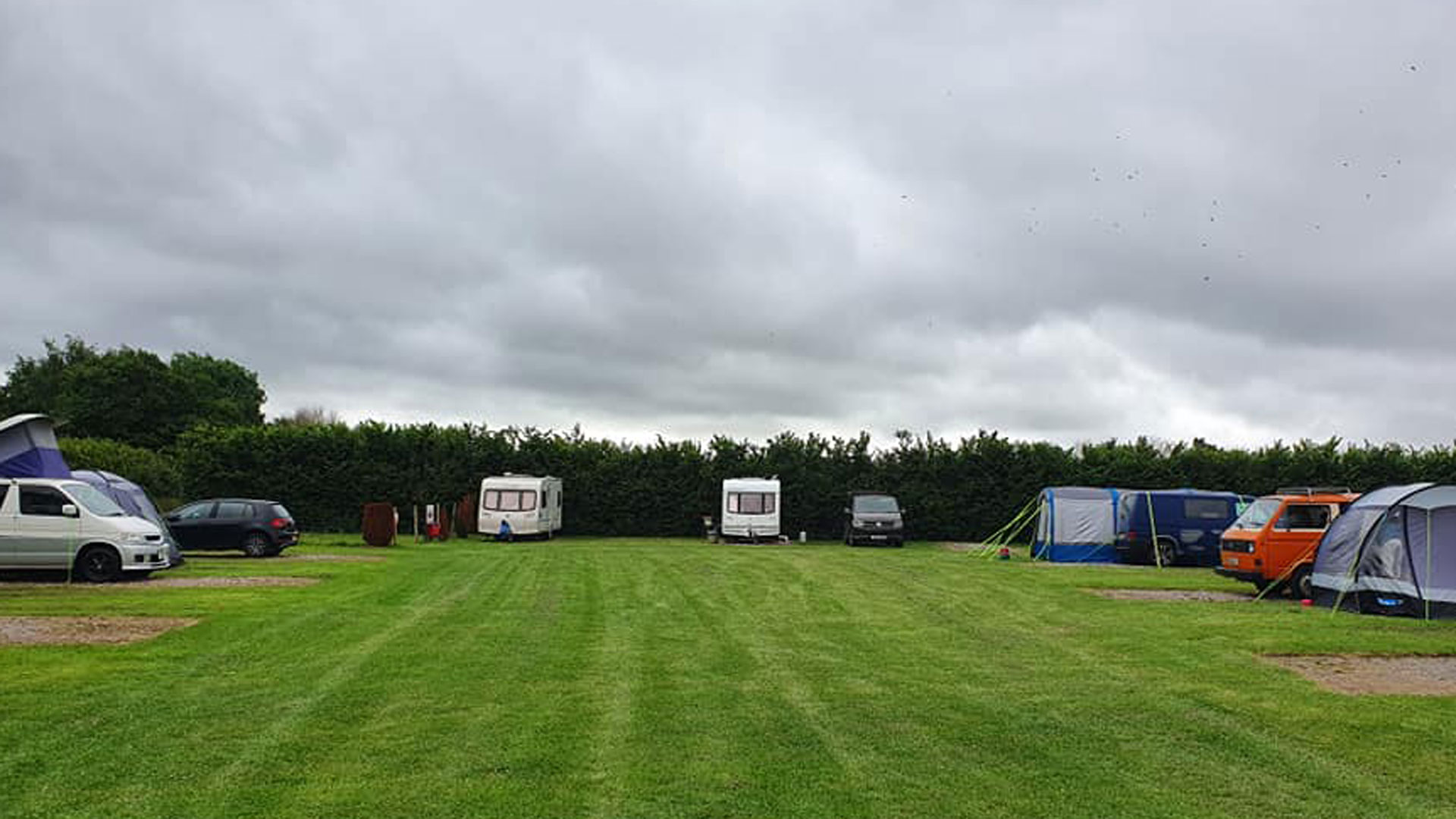 Bridgwater Burton Springs The Camping and Caravanning Club