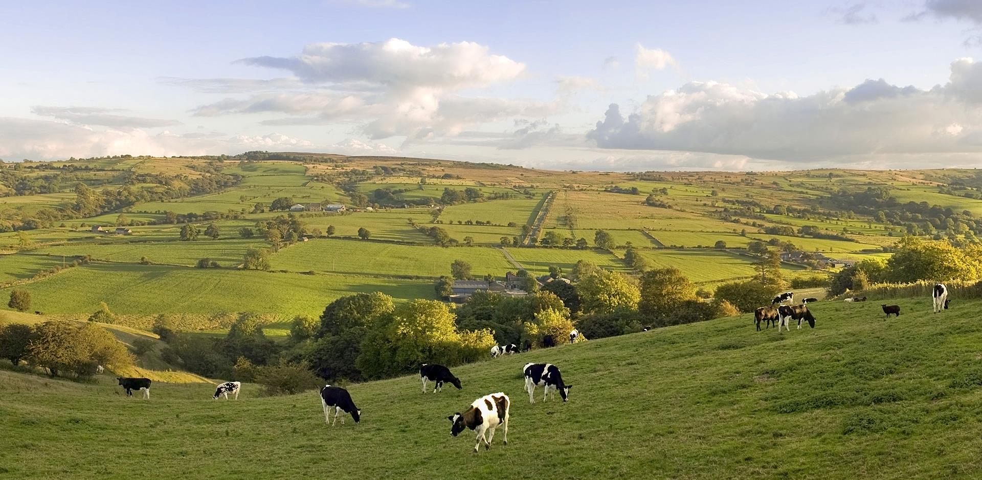 Landscape around Bakewell, Peak District