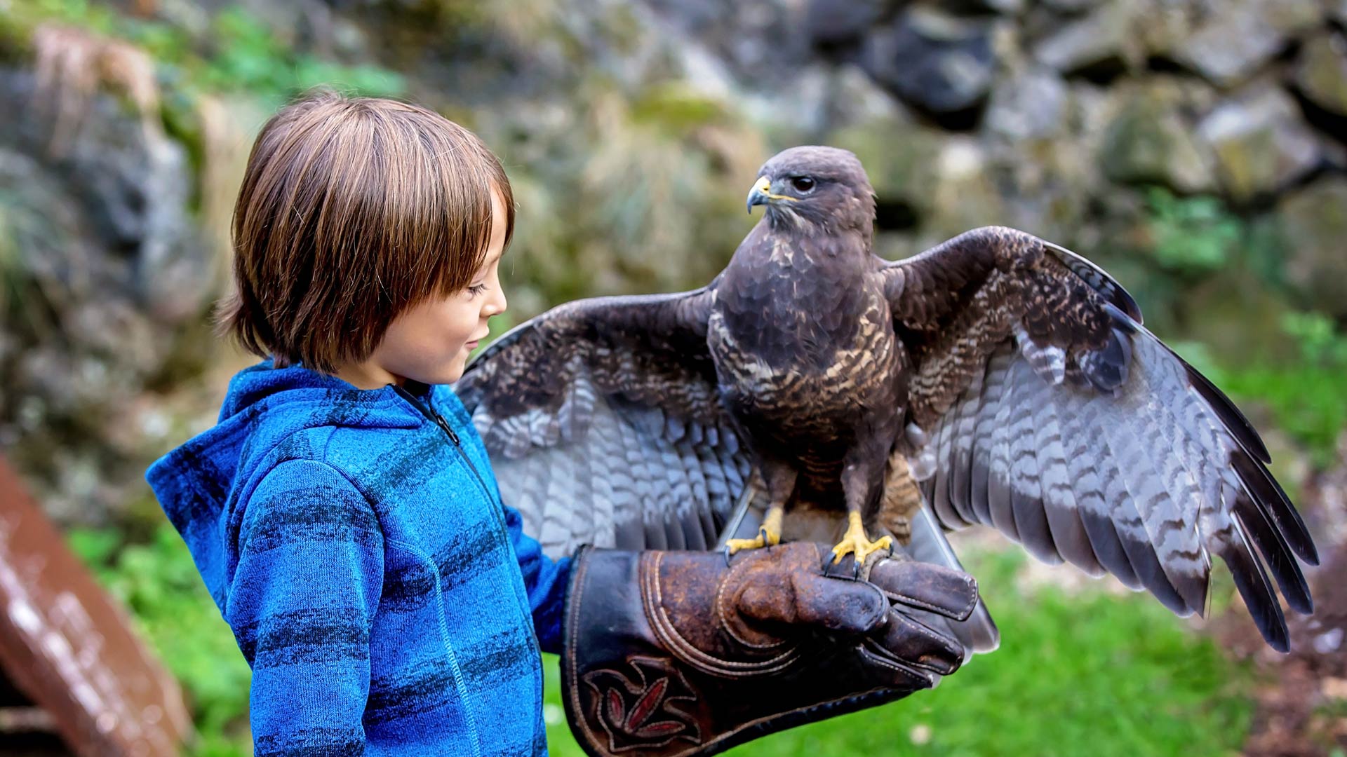 boy holding eagle 