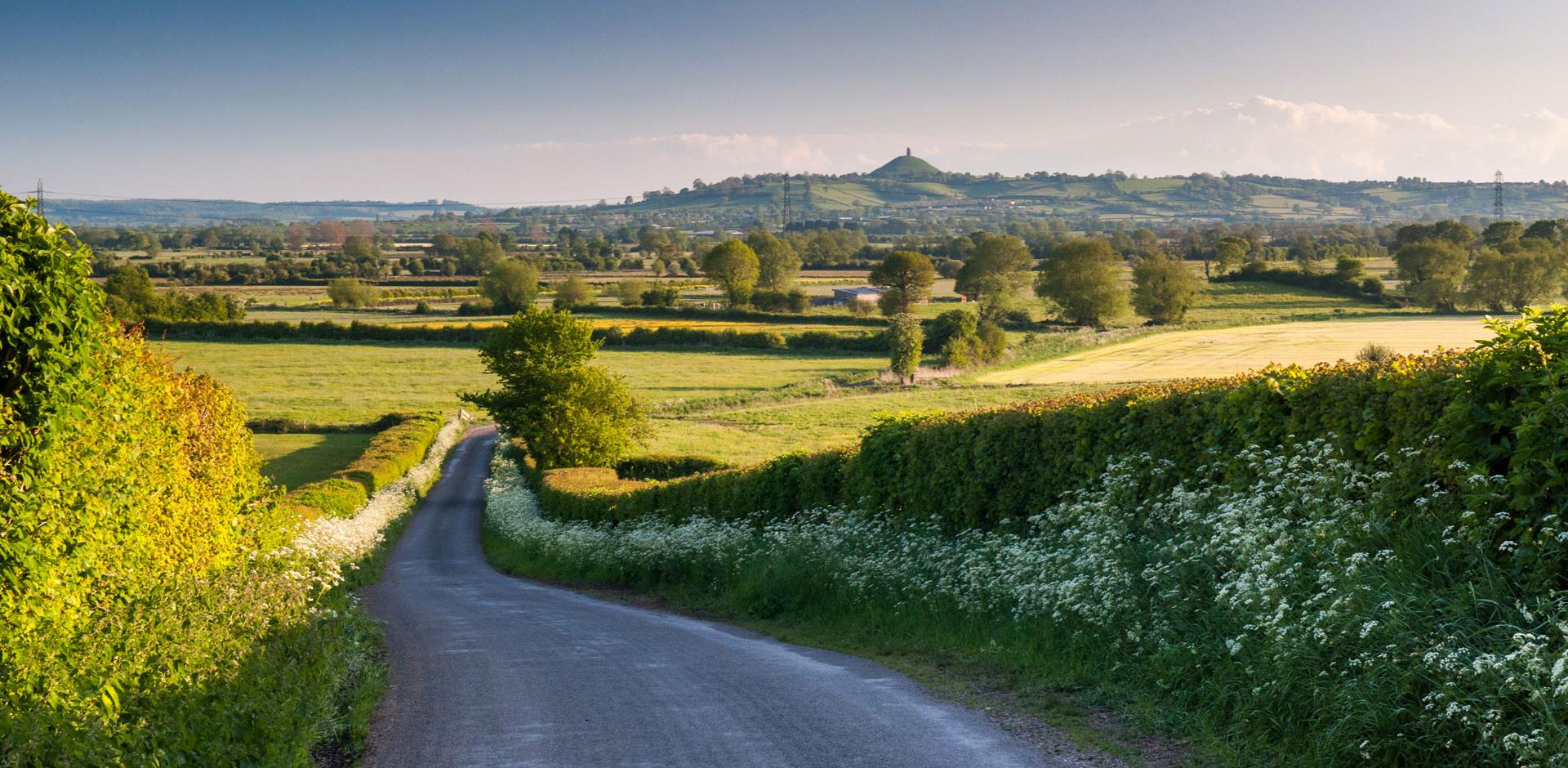 Green rolling hills in Somerset