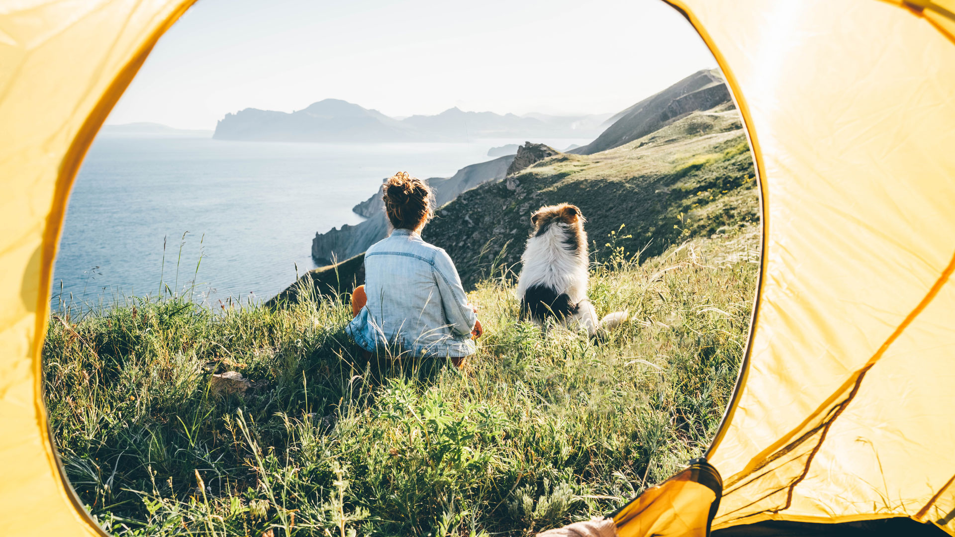 Places to camp sales with dogs