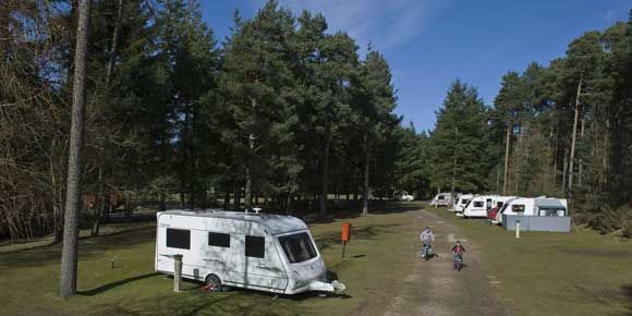Sheltered pitches at Nairn campsite, Scotland