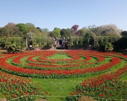 Tulips on display at Arundel Castle