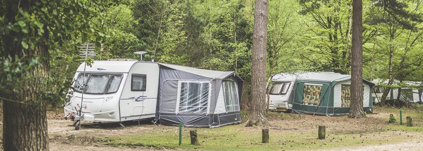 Setthorns New Forest Campsite Explore Hampshire From Setthorns