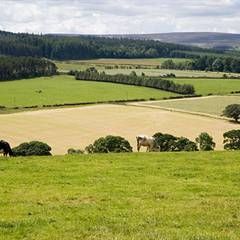 Rye Hill Farm Campsite | Explore Northumberland From Rye Hill Farm ...