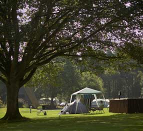 Cannock Chase