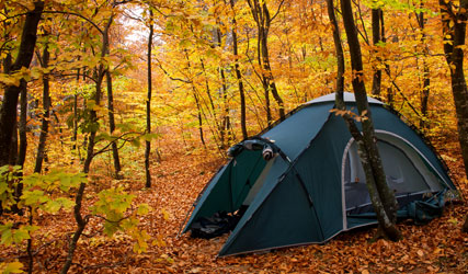 Autumn Camping The Camping And Caravanning Club